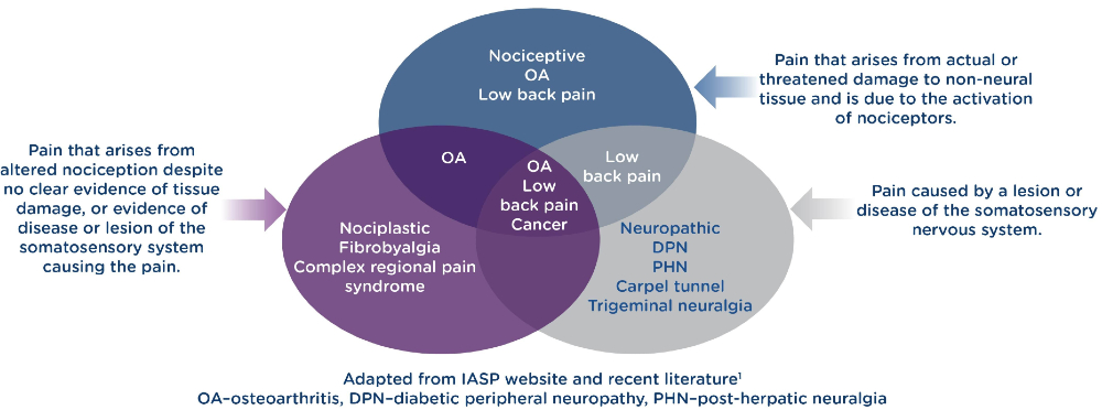 Pathophysiology of pain
